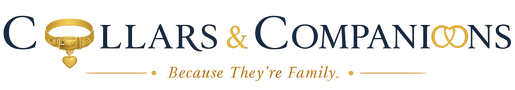 Translation missing: en.Collars and Companions accessibility.home