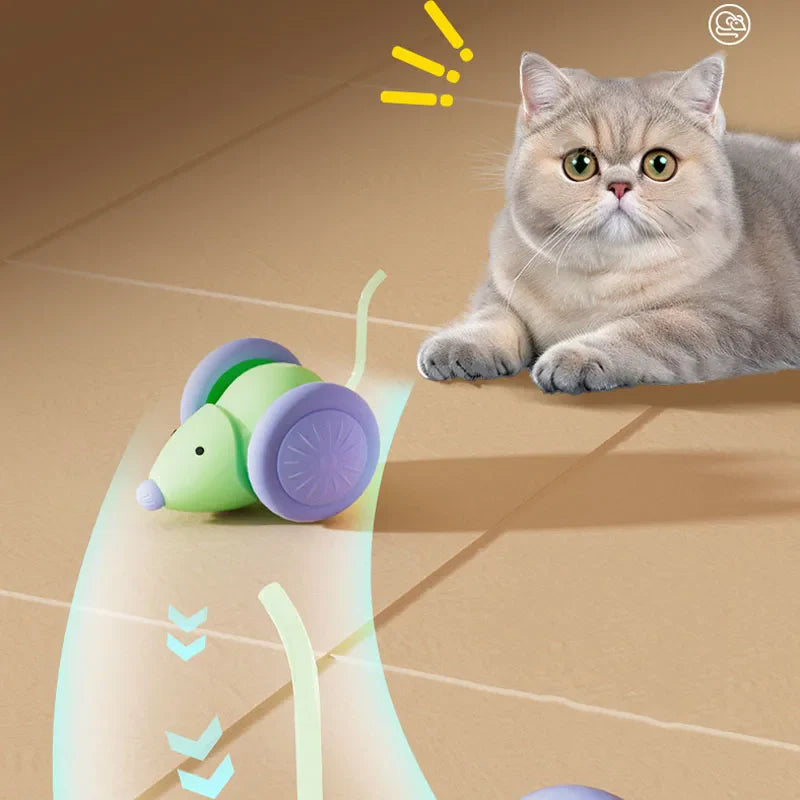 Hot Electric Mouse Car Interactive Cat Toy Rechargeable Automatic Kitten Toy Intelligent Obstacle Avoidance Cat Toy