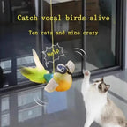 The pet cat toy emulates the sound bird to amuse the cat elastic rope to relieve boredom and resist scratching and biting