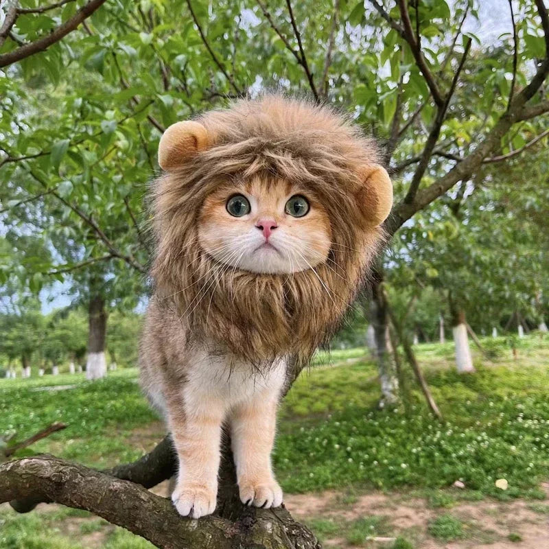 New Cute Funny Pets Clothes Cap Cute Cat Wig Lion Mane Costume Cosplay Kitten Dog Hat with Ears Fancy Party Supplies